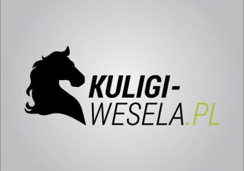 Organizacja kuligów